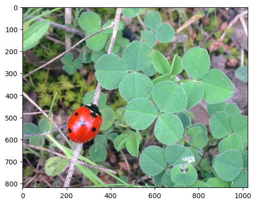 ../_images/7a2ec3fd5b04a12610f86f6f224bda9a75b6e69b28be56daed6c8d65fb850e50.png