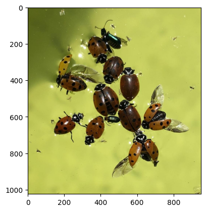 ../_images/ca7b3351c88921e603e4b8854955ef672f3d8fac43a298ec00704fd9372f8c79.png