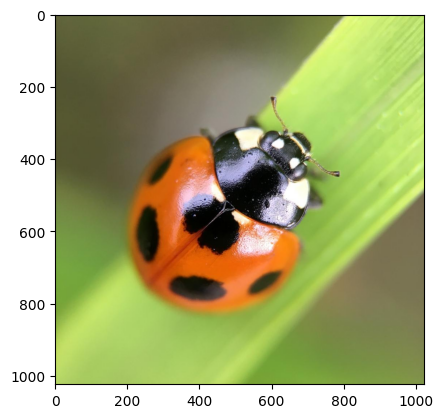 ../_images/e68235a4ff82874fc13f1c8feb2f449b633b216fa957b210e83140bbbbb56e8c.png
